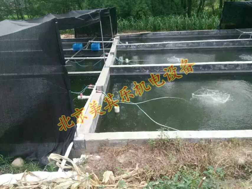 使用漩涡风机增氧安全吗